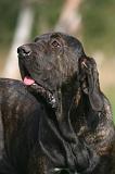 FILA BRASILEIRO 206